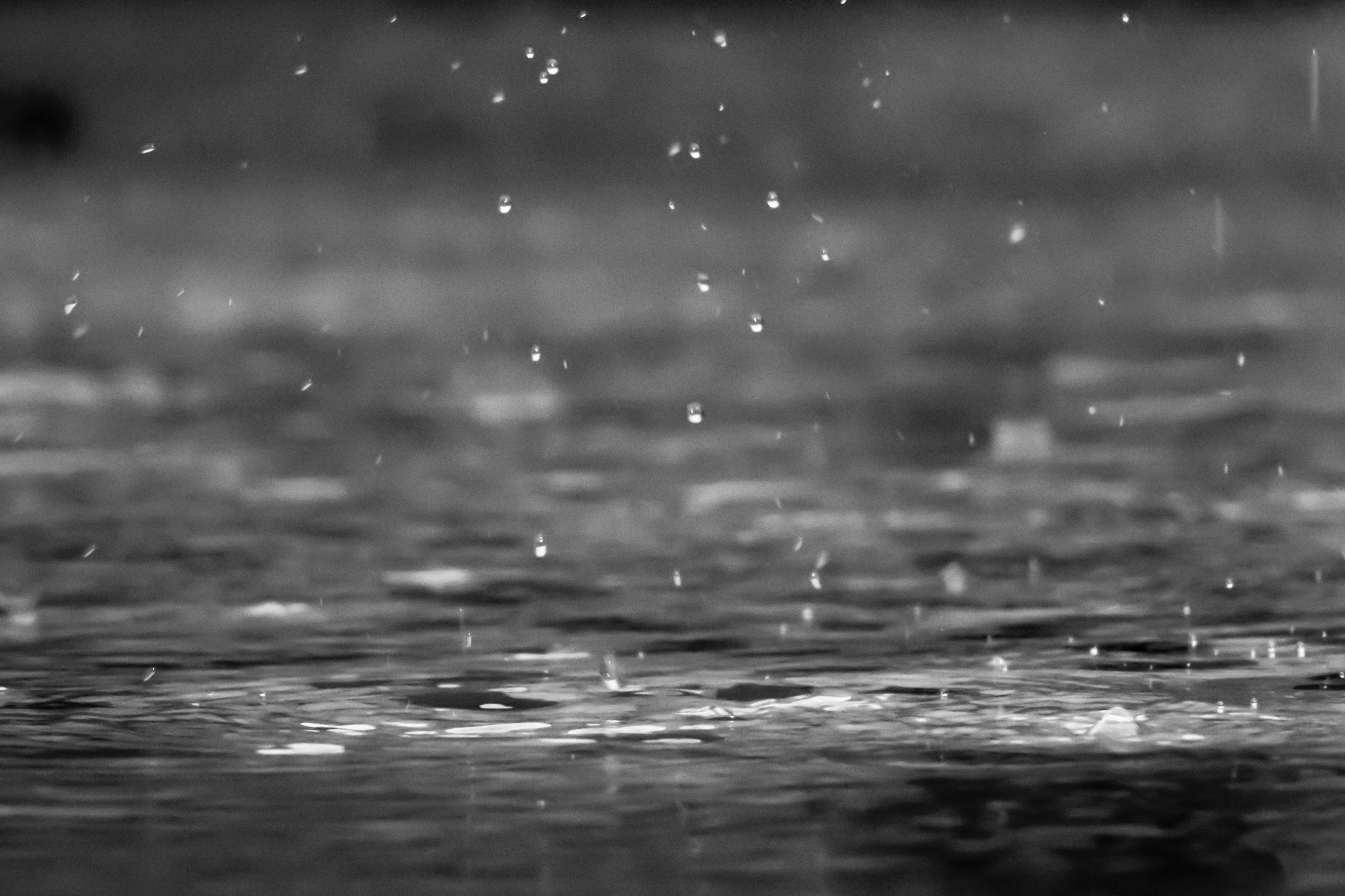 Tiny raindrops creating ripples on water with a gray toned background